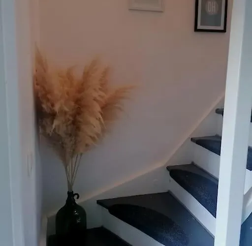 Casa de Férias La Petite Maison Cosy *